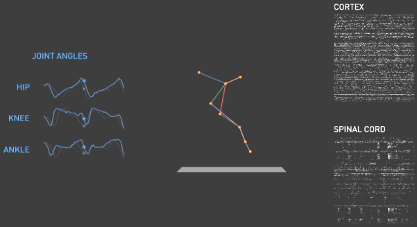 Kinematic data collected alongside cortical and spinal cord neural data